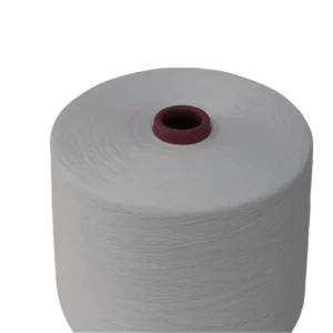 100% Polyester Waxed Spun Yarn 30S 1 Custom Knitting Textile Yarn