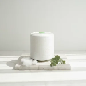 29S/2 Industrial Recycled Polyester Sewing Thread Perfect Color Matching Manufacturers with Filament Yarn GRS Certified