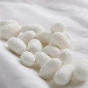 40/44D 9X3X3 Thrown Silk Yarn for Hand Tufted Carpet