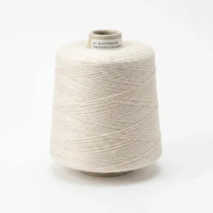 China Manufacturer High Tenacity 32/1 SD COTTON LIKE Stretch Polyester Filament Yarn