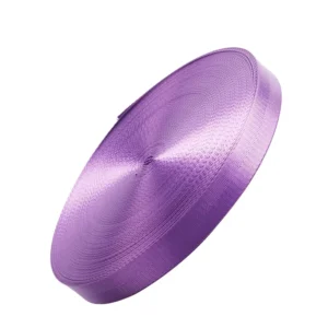Colorful 2 Cm 2.5cm 3.2cm Nylon Herringbone Webbing Strap