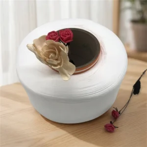 Eco-friendly 100% Polyester Recycled FDY Filament Fancy Yarn 43D/24F Raw White Semi-Dull Anti-Bacteria High Tenacity with GRS