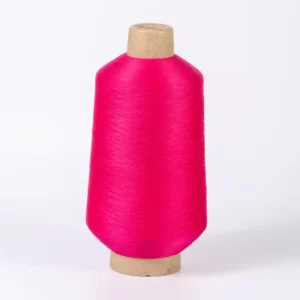 High Quality Nylon 6 Dyed Yarn 70D 24F 2 Nylon Dty Yarns Knitting Nylon Yarn Polyamide Yarn