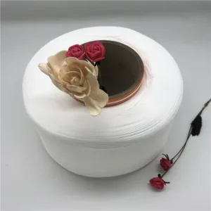 Manufactured 100% Polyester Recycled FDY Filament Yarn 66D 24F Dtex 73 Raw White Semi Dull Anti Bacteria for Knitting