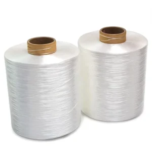 New Design Fashion High Tenacity Nylon 6 Yarn