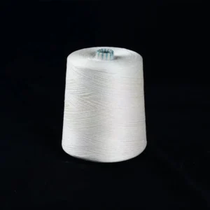 Nm120 2 100% Silk Yarn Factory High Quality 100% Spun Silk Raw Yarn for Carpet