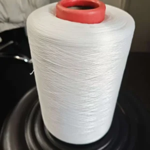 Polyester DTY 150D 48F NIM SD RW Twisted Yarn TPM 120 Without Heating Treating